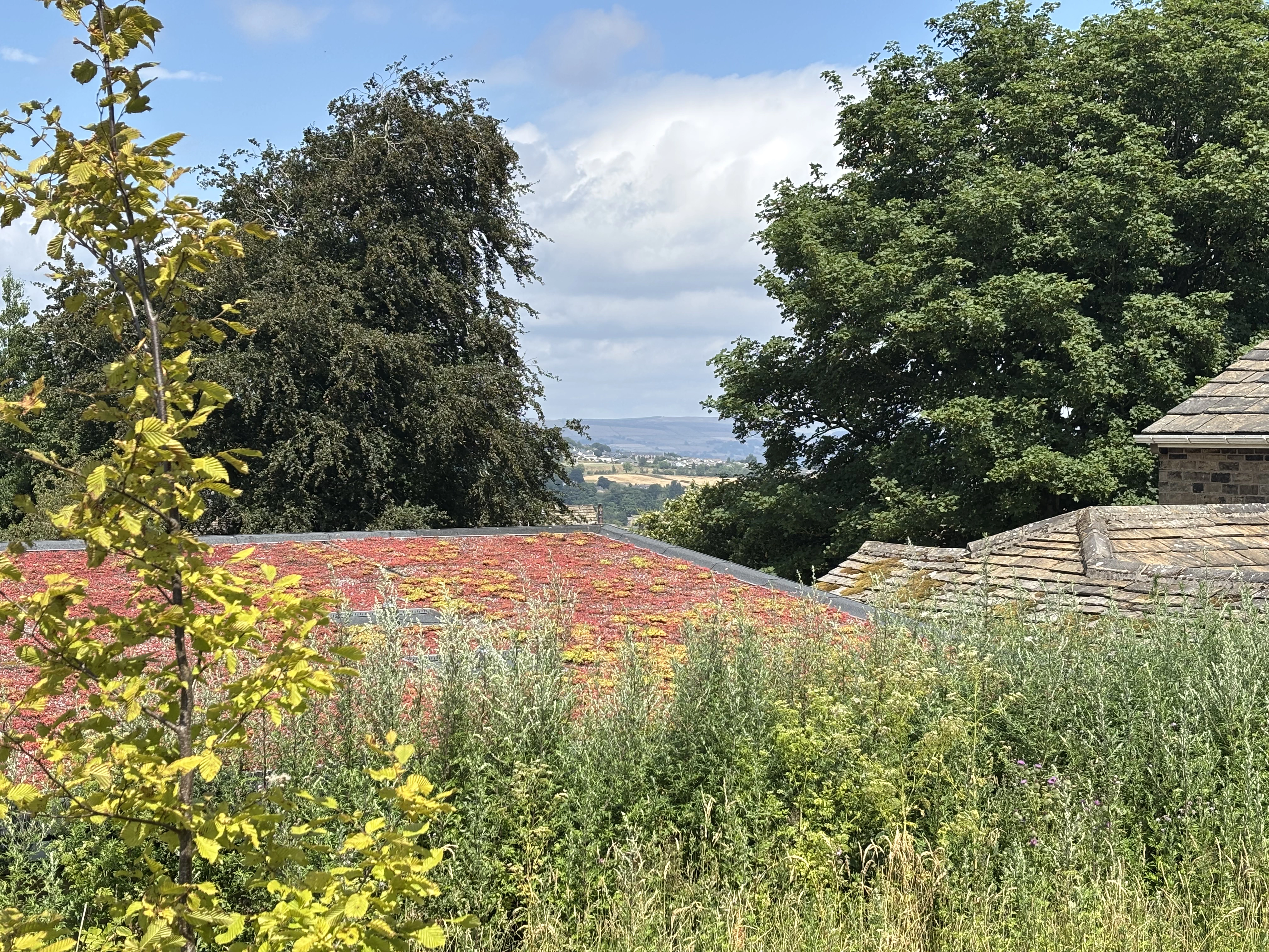 A rainbow over the West Yorkshire moors on a private Brontë Country tour